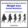 Jill Harrison & Glenn Harrison - Weight Loss (Ascended Master El Morya) [Merlin] {Guided Meditation}